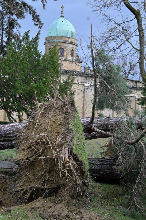Zagreb: U nevremenu teško  oštećeno gradsko groblje Mirogoj