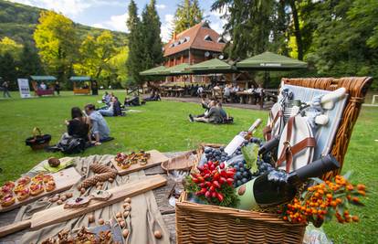 Sve je spremno za drugo izdanje vinskog festivala Slavonija i Podravina, wine not!?