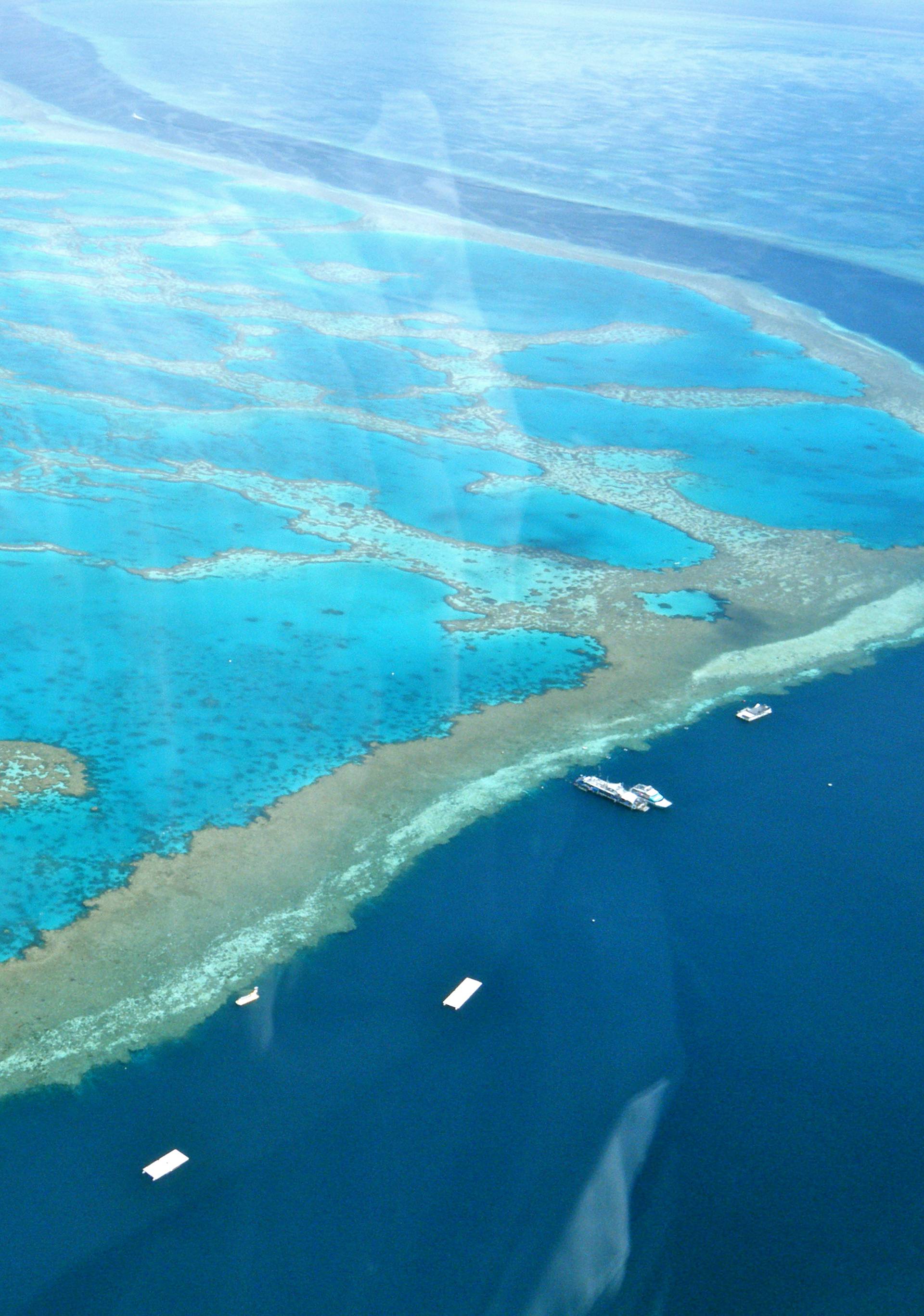 Spas Velikog koraljnog grebena koštat će 6,5 milijardi dolara