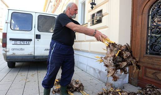 Bacio uginule kokoši: Mogli su imati jaja, sad neka jedu meso