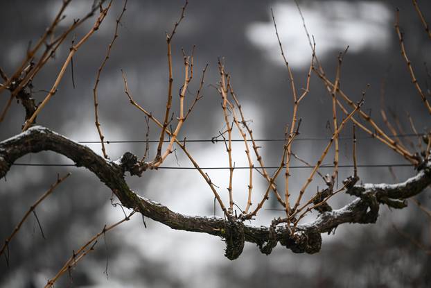 Snijeg u samoborskom gorju