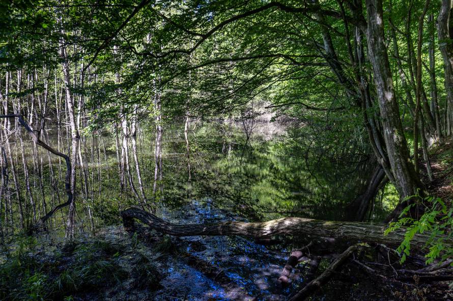 Ilegalno odlagalište otpada u Dubravi Pušćanskoj