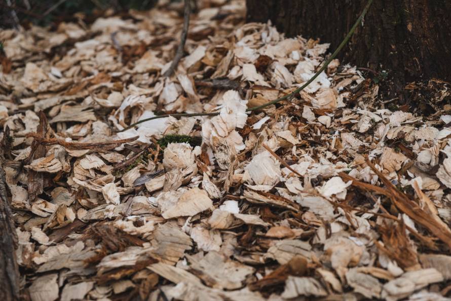 Dabrovi u Novom Marofu rade probleme: 'Ukrali su 200 letvi radnicima i odnijeli ih u potok'