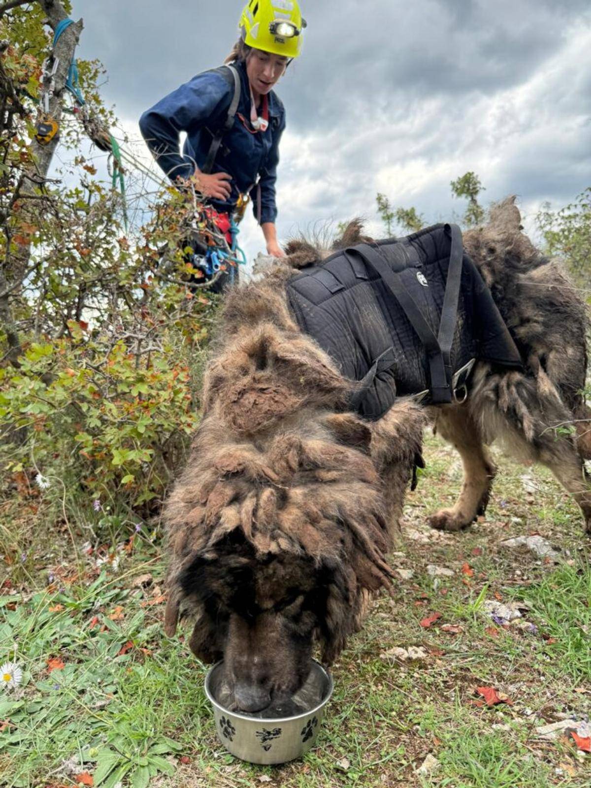 Splitski HGSS-ovci spasili psa iz jame duboke 40 metara, bio je zato?en duže vrijeme