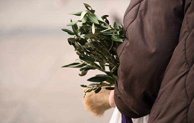 Zagreb: Prodaja maslinovih grančica uoči Cvjetnice