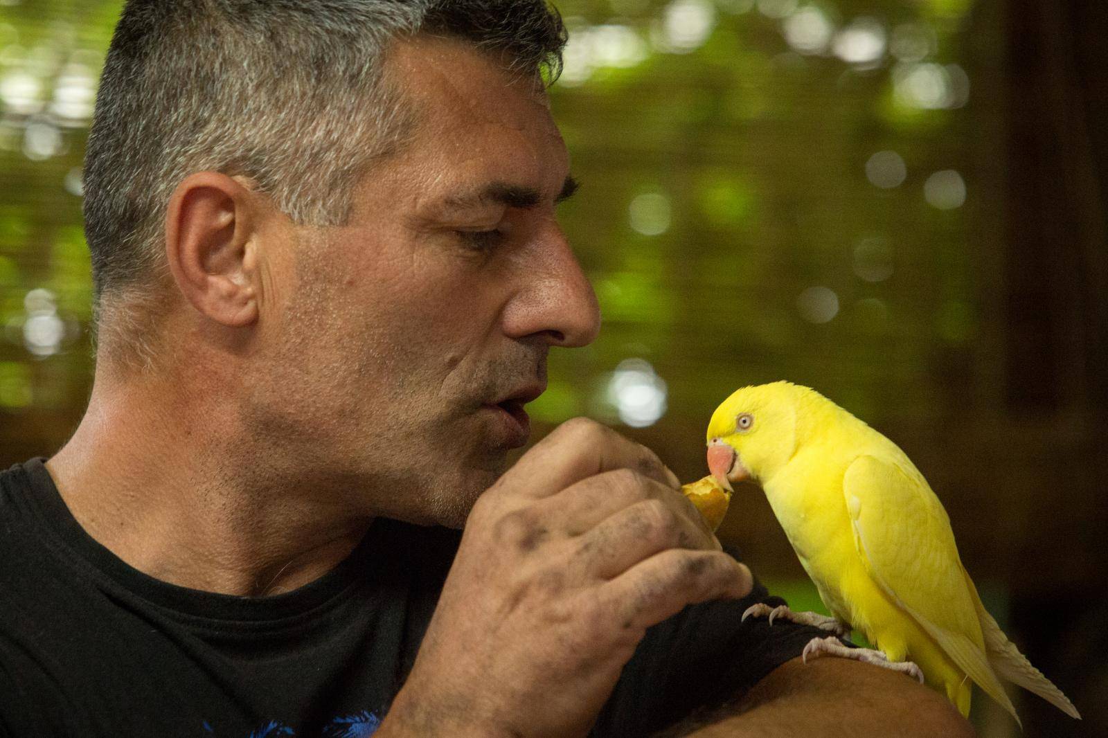 Papiga se vratila kući: 'Sad me zezaju da navija za Cibaliju...'