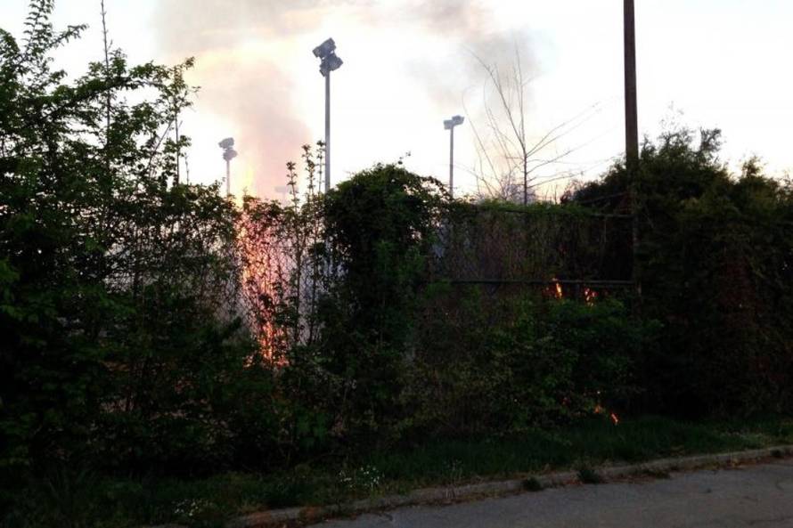 Tomislav Miletic/PIXSELL