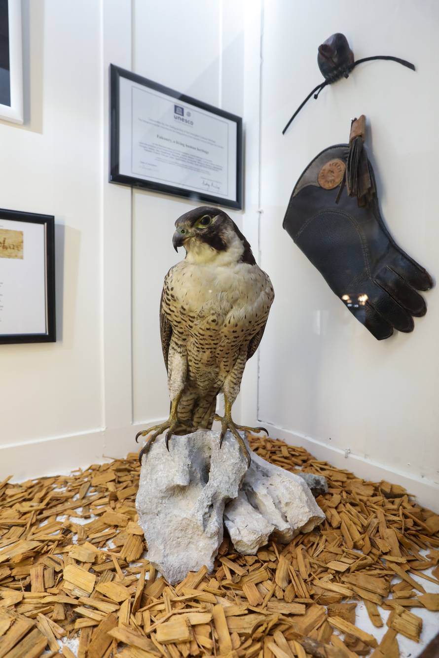 24SATA Izložba "100 godina hrvatskog lovstva" u Lovačkom muzeju