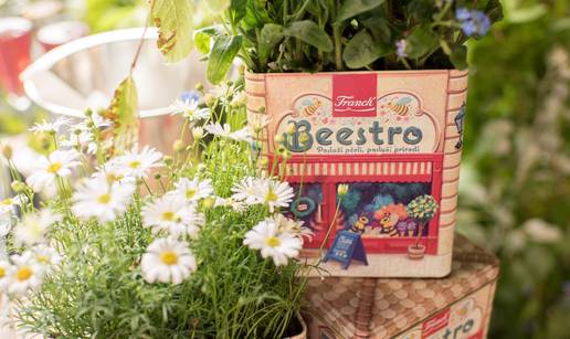 Znate li kada je svjetski dan p&ccaron;ela? Evo kako im zajedno mo&zcaron;emo pomo&cacute;i