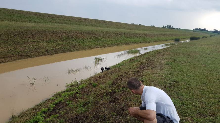 Na svom putu dugom 2000 km spasili su dva izgladnjela psića