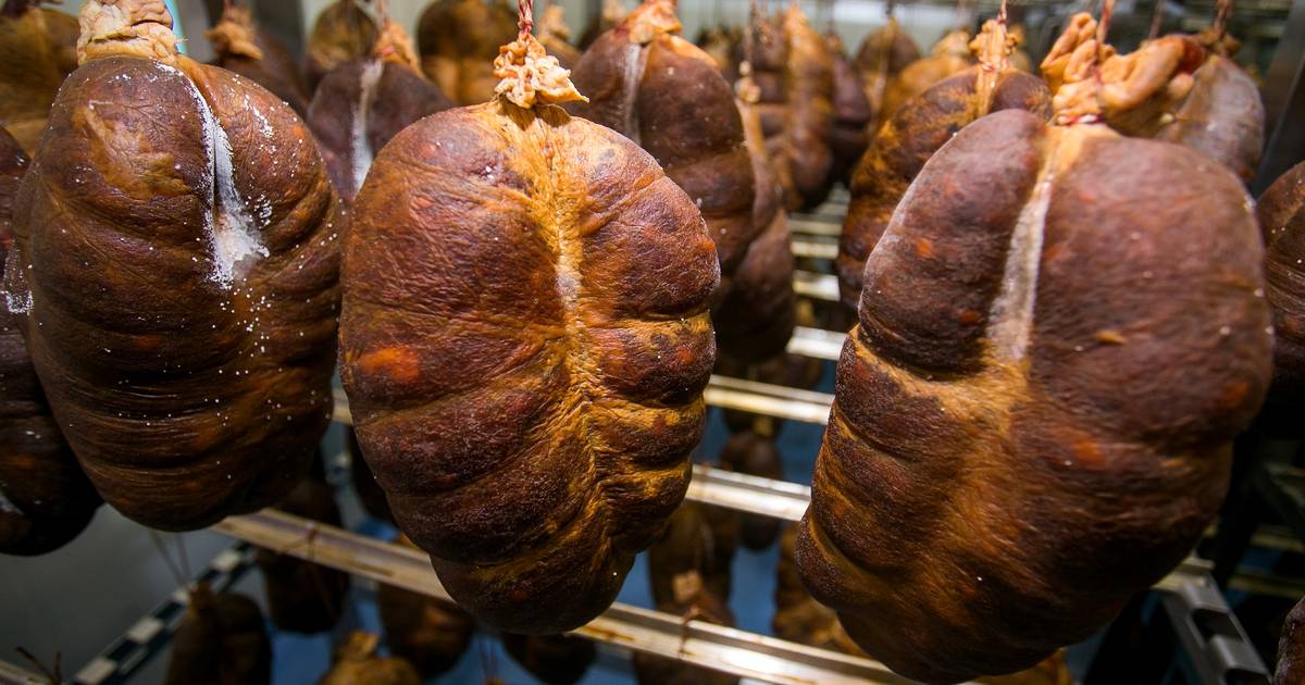 Salmonella Contamination Forces Recall of Kulen Inspect Your