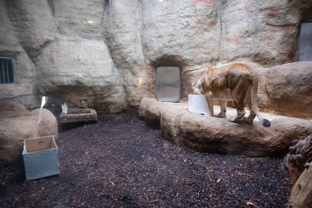 Zagreb: Podjela darova životinjama u Zoološkom vrtu