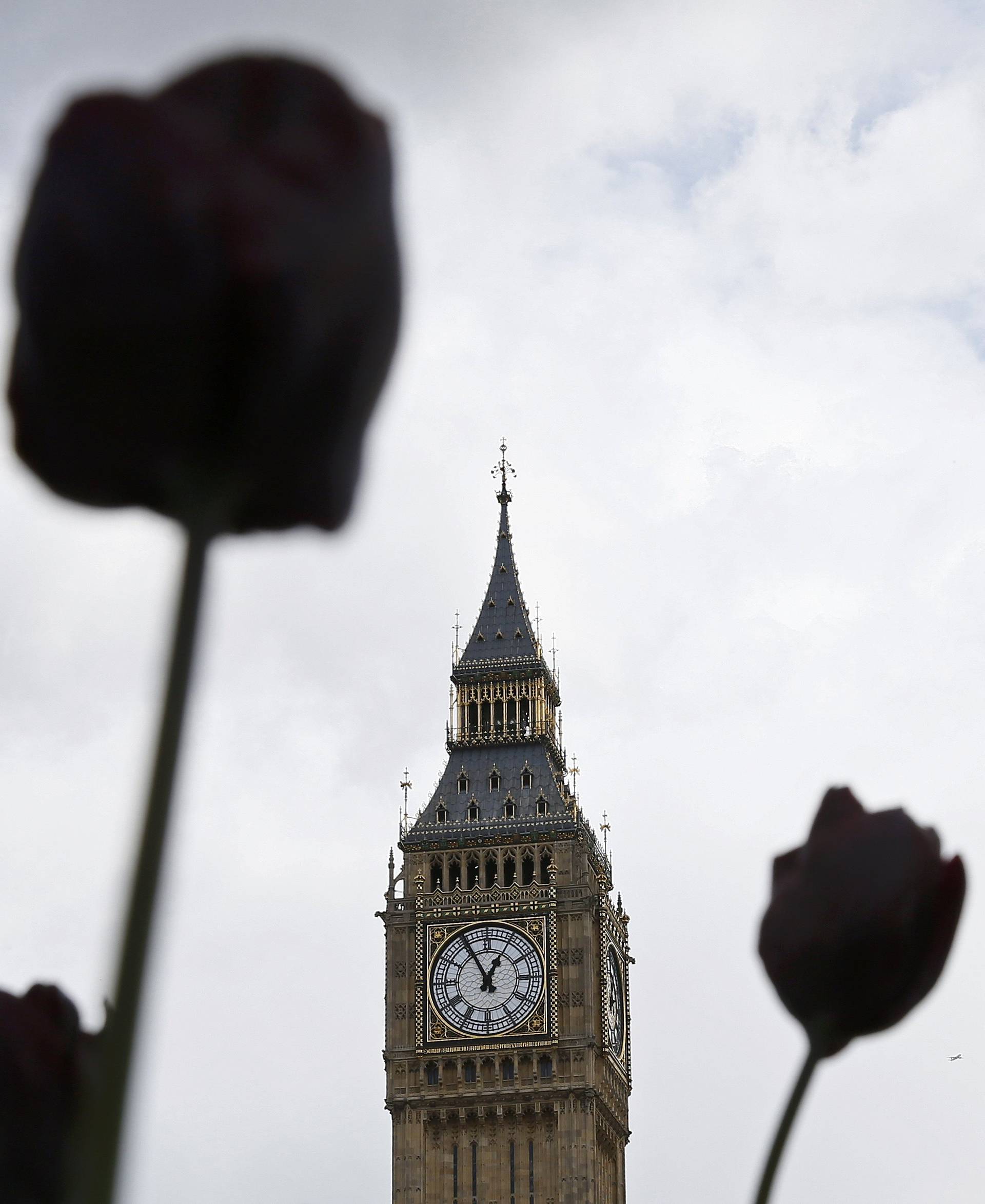 The Big Ben bell tower is seen behind flowers at the Houses of Parliament in central London