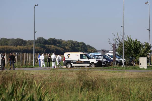 Sokolovac: Kreće eutanazija svinja, uvode se novi sigurnosni protokoli