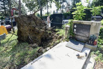 Tužni prizori na zagrebačkom Mirogoju: Stabla su padala na grobove, stradali spomenici...