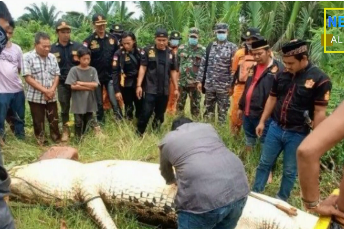 Krokodil progutao dječaka (8) pred njegovom obitelji. Otac očajnički pokušao spasiti sina