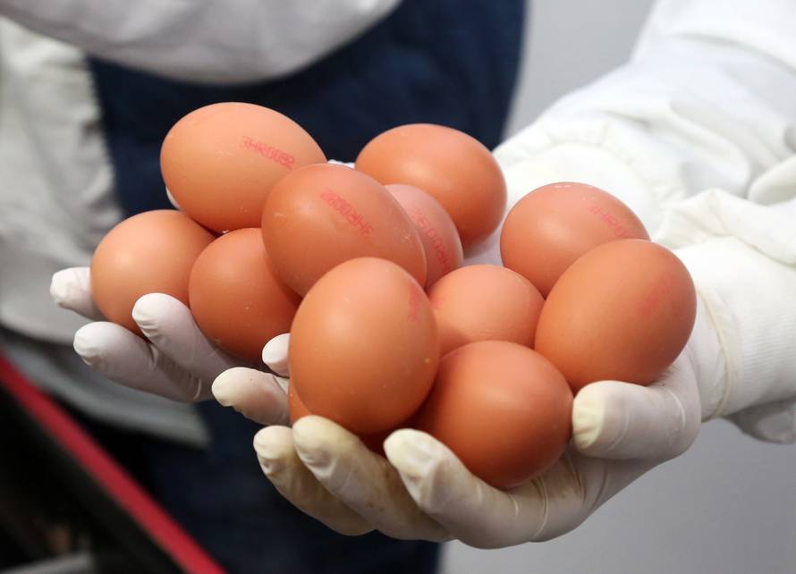 Velika inspekcija 24sata: Više na policama nema poljskih jaja