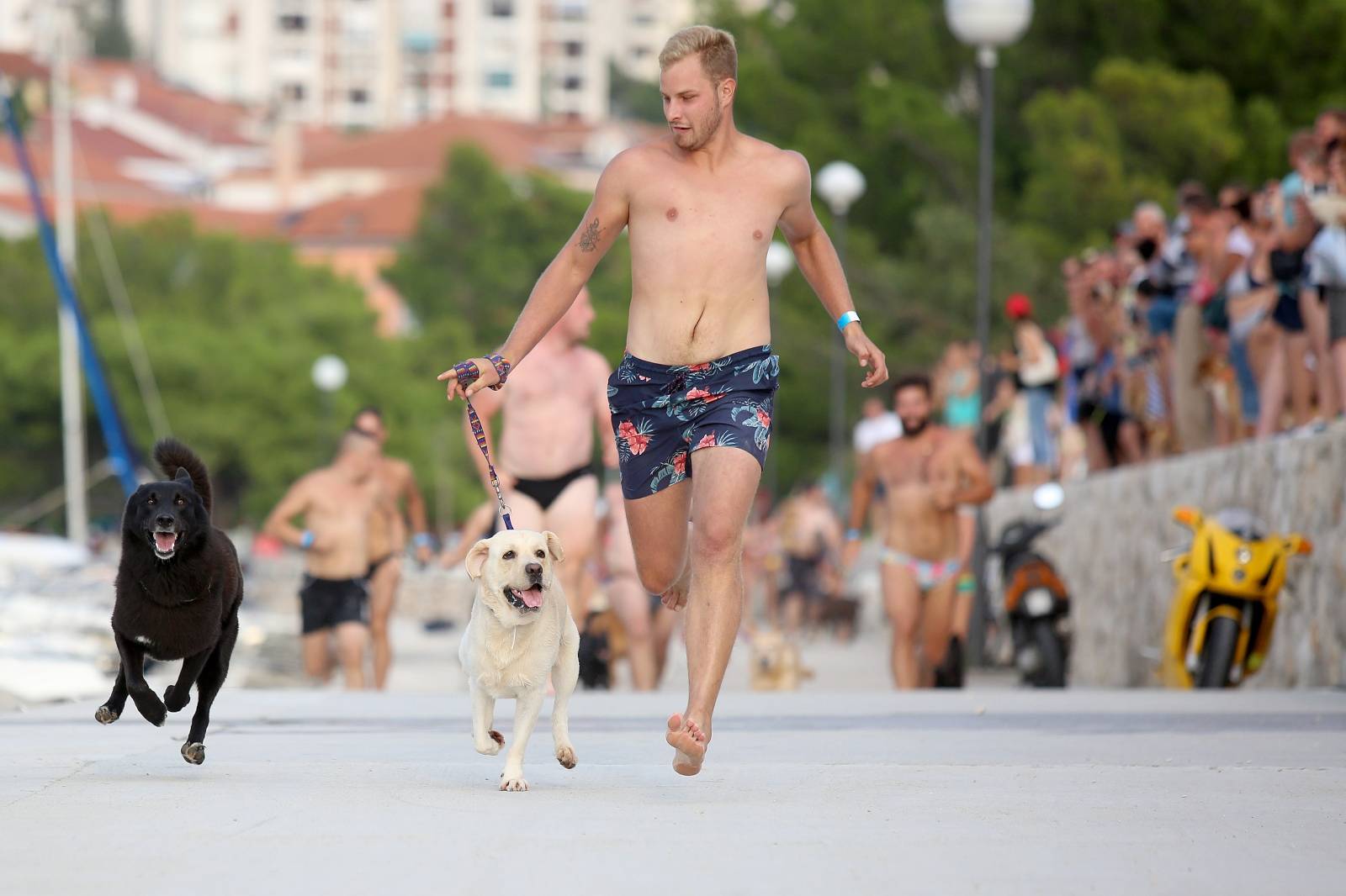 U crikvenici je održano plivačko natjecanje pasa i njihovih vlasnika