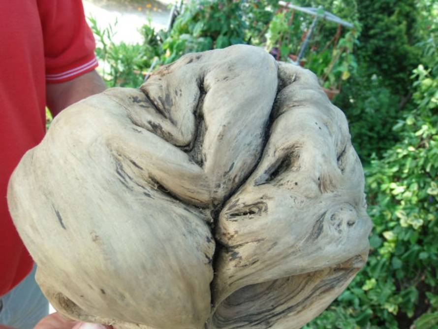 Zinka Čižmešija/24sata