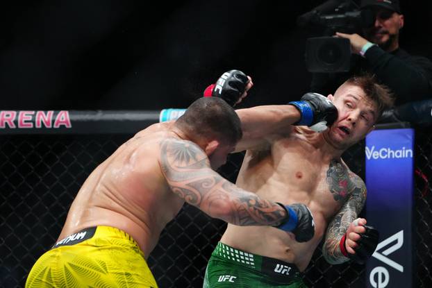 MMA: UFC 323 - Vettori vs Ferreira