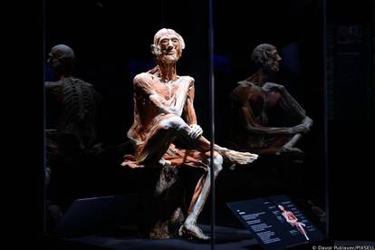 Zagreb: Konferencija uoči otvorenja izložbe seciranih ljudskih tijela Body Worlds Vital