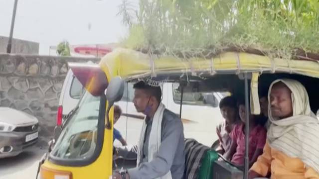 Vrt na kotačima: Indijac uzgaja biljke na krovu svog taksija