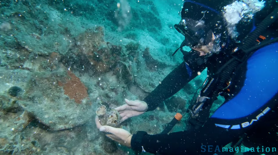 FOTO Ronilac kraj Visa pronašao antičko blago, iz Ministarstva su reagirali tek nakon mjesec dana