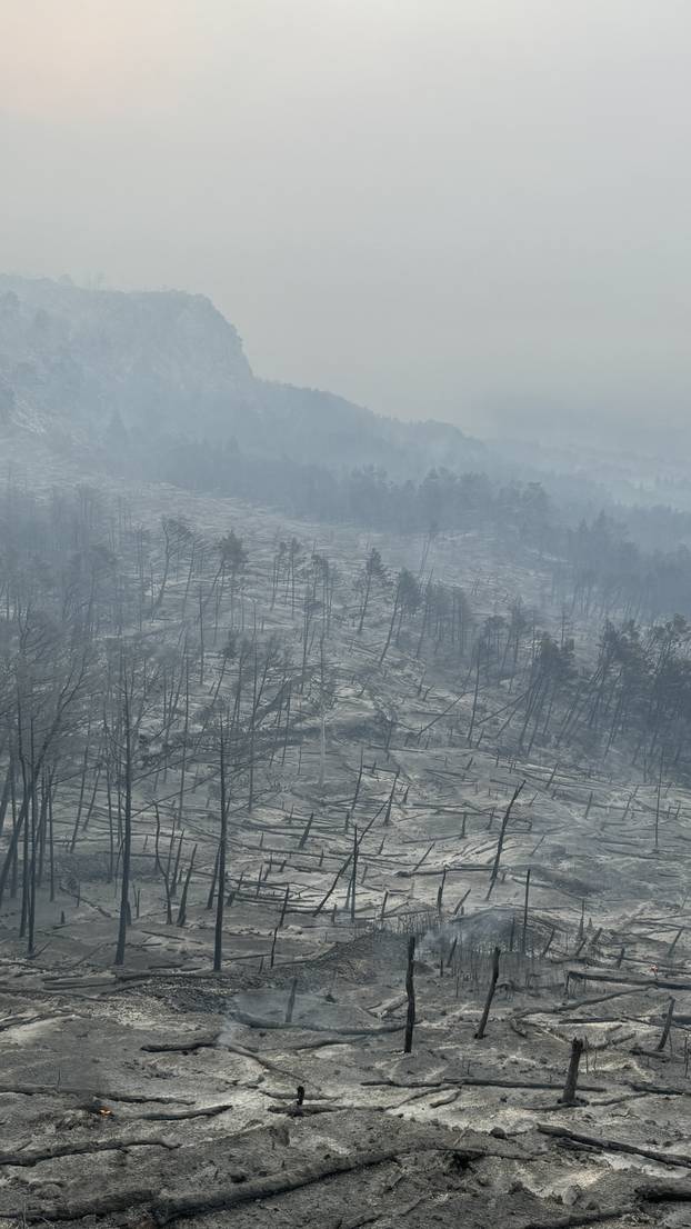 Makarska: Opožareno područje Parka prirode Biokovo