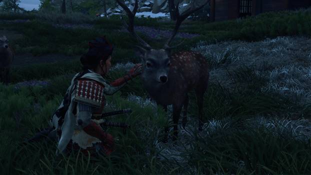 FOTO Japanski zen: Pogledajte zašto je Ghost of Yotei jedna od najljepših igara godine