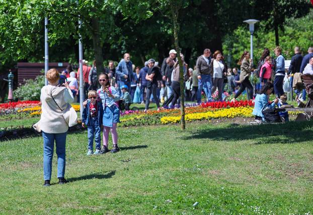 Zagreb: Sunce obasjalo Flora Art