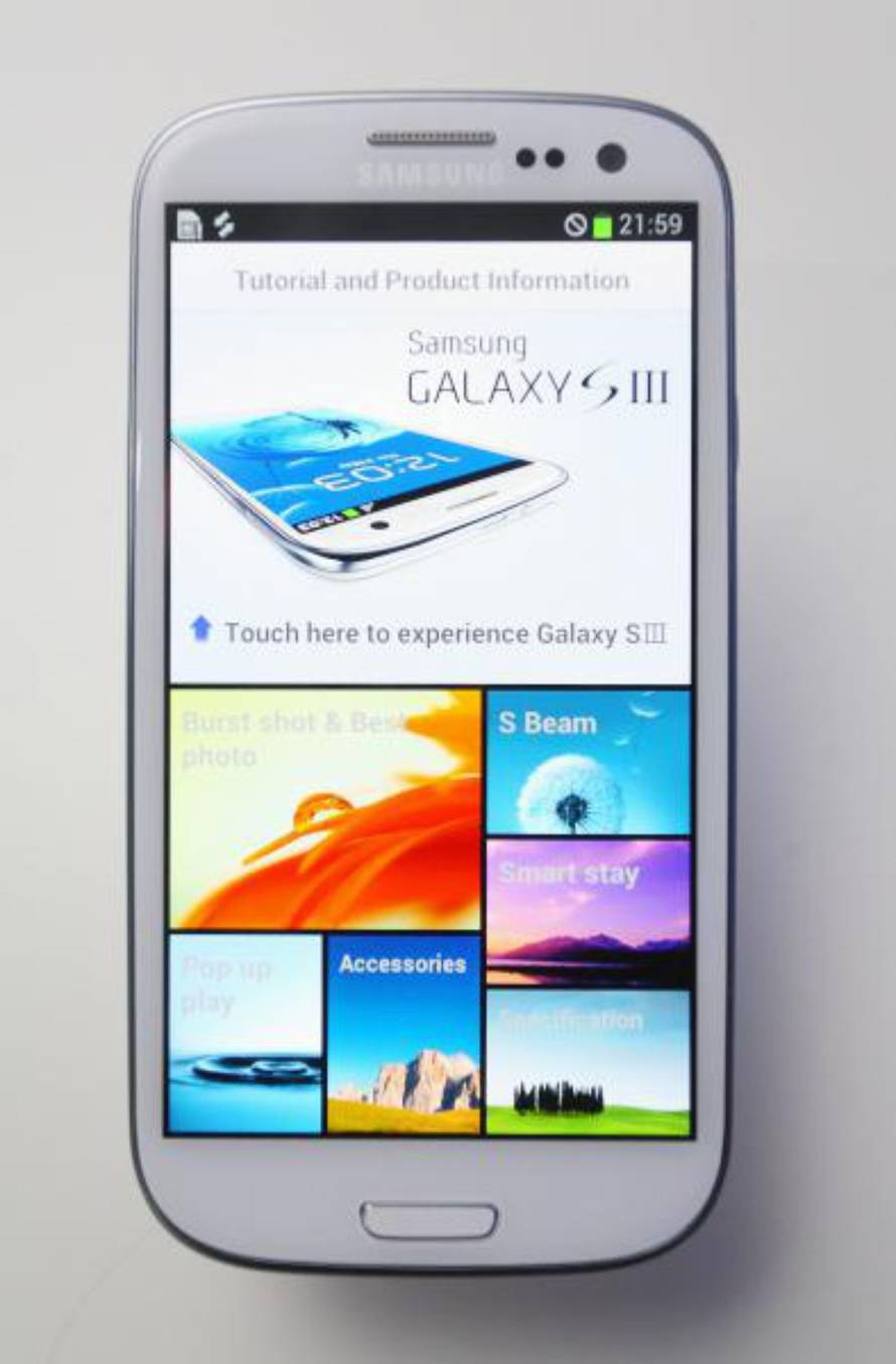 Tomislav Miletić/Pixsell