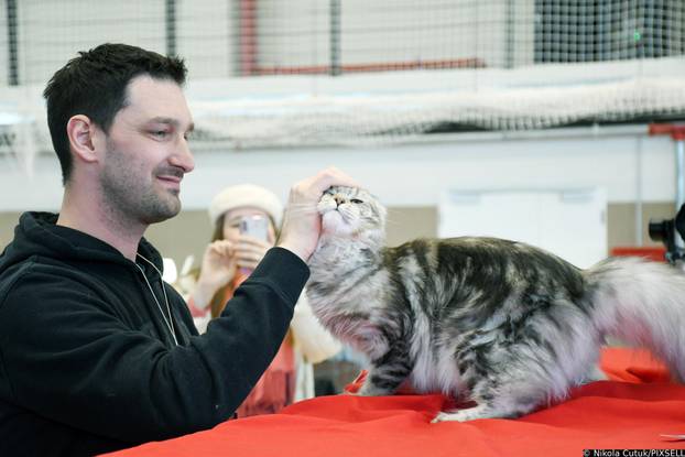 Otvorena revijalna izložba mačaka u Sisku 