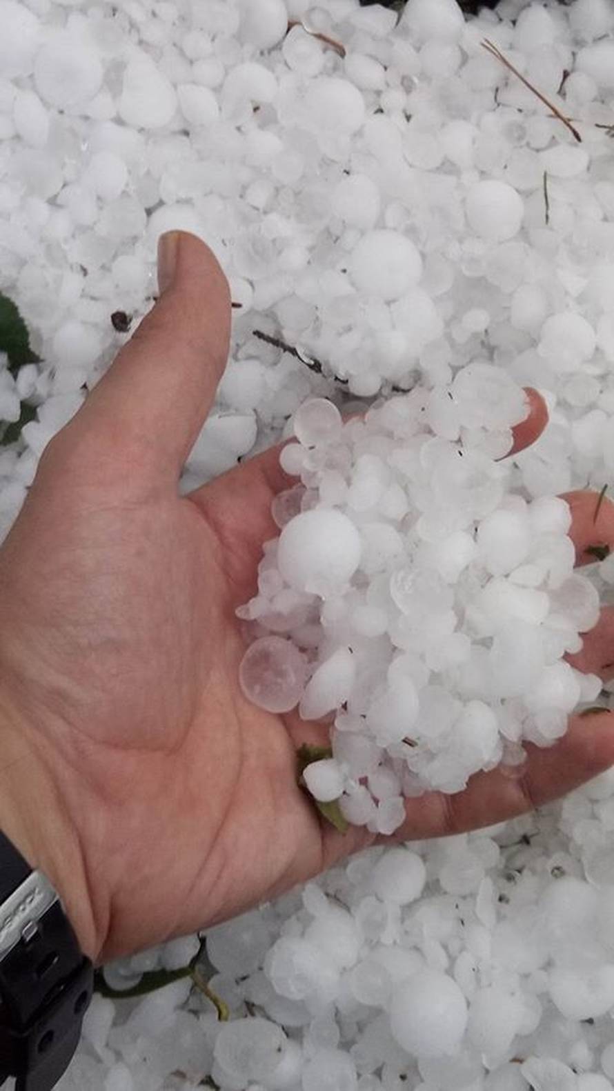 Obilne kiše ponovno potopile Crikvenicu, Rab, Kozari Bok...