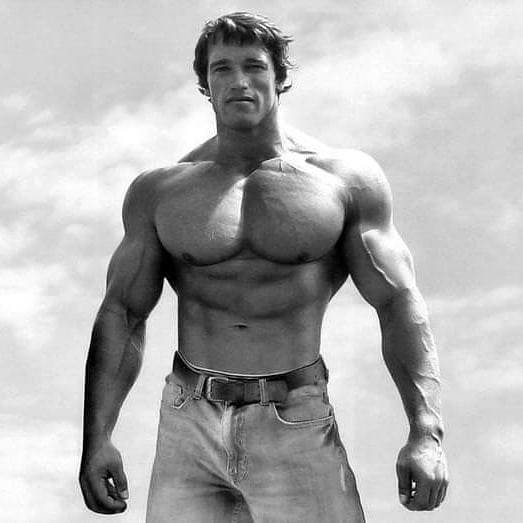 Schwarzeneggerov sin isti tata! Bilda kao Arnold, a glumac ga je dobio u aferi sa spremačicom