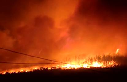 Hrvatska Grčkoj šalje kanader, bore se s velikim požarima