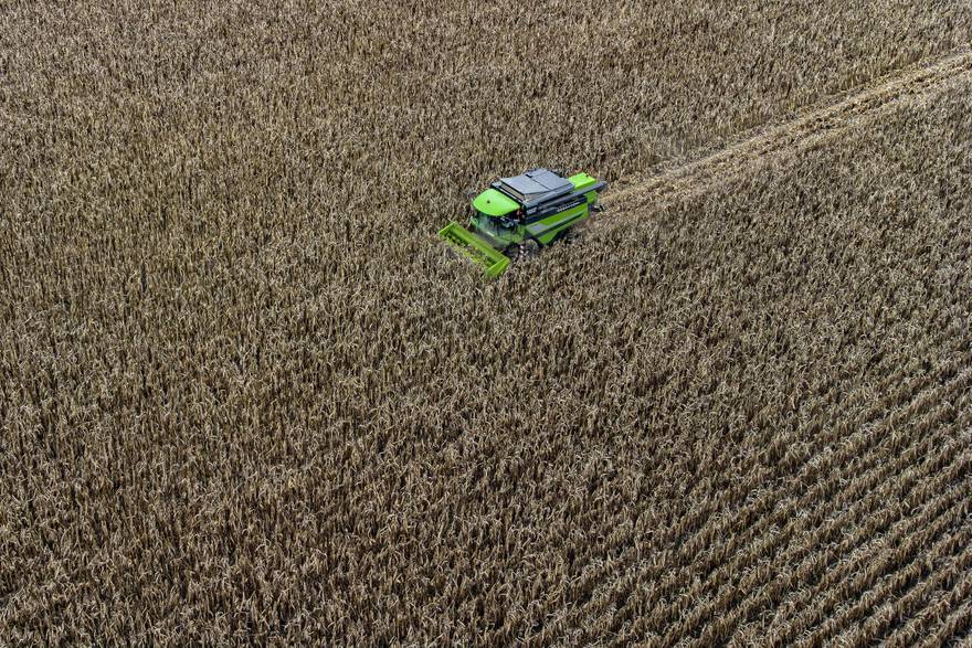 Maglovito i prohladno jutro nije spriječilo poljoprivrednike u vršidbi kukuruza na poljima Slavonije