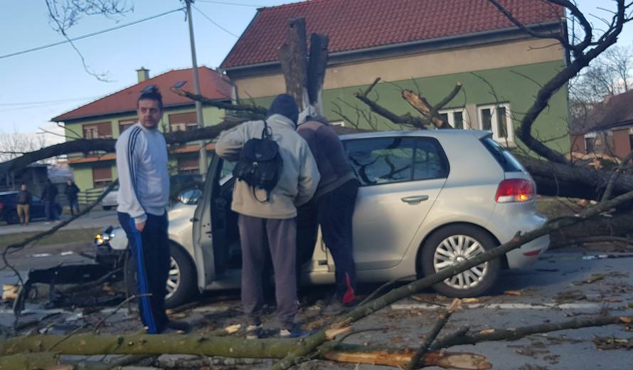 Stablo smrskalo auto u vožnji: Vozačicu spremaju za operaciju