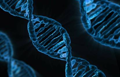Znanstvenici predlažu razvoj sintetskog ljudskog genoma