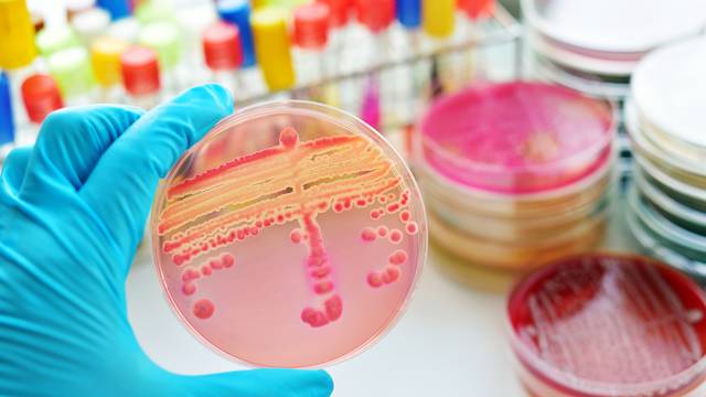 'Već u par dana u bolnici se promijene crijevne bakterije'