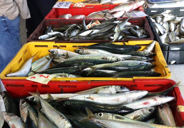 Šibenik: Ponuda ribe na šibenskoj ribarnici