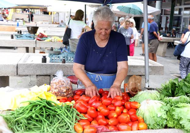 Šibenik: Ponuda vo?a i povr?a na šibenskoj tržnici