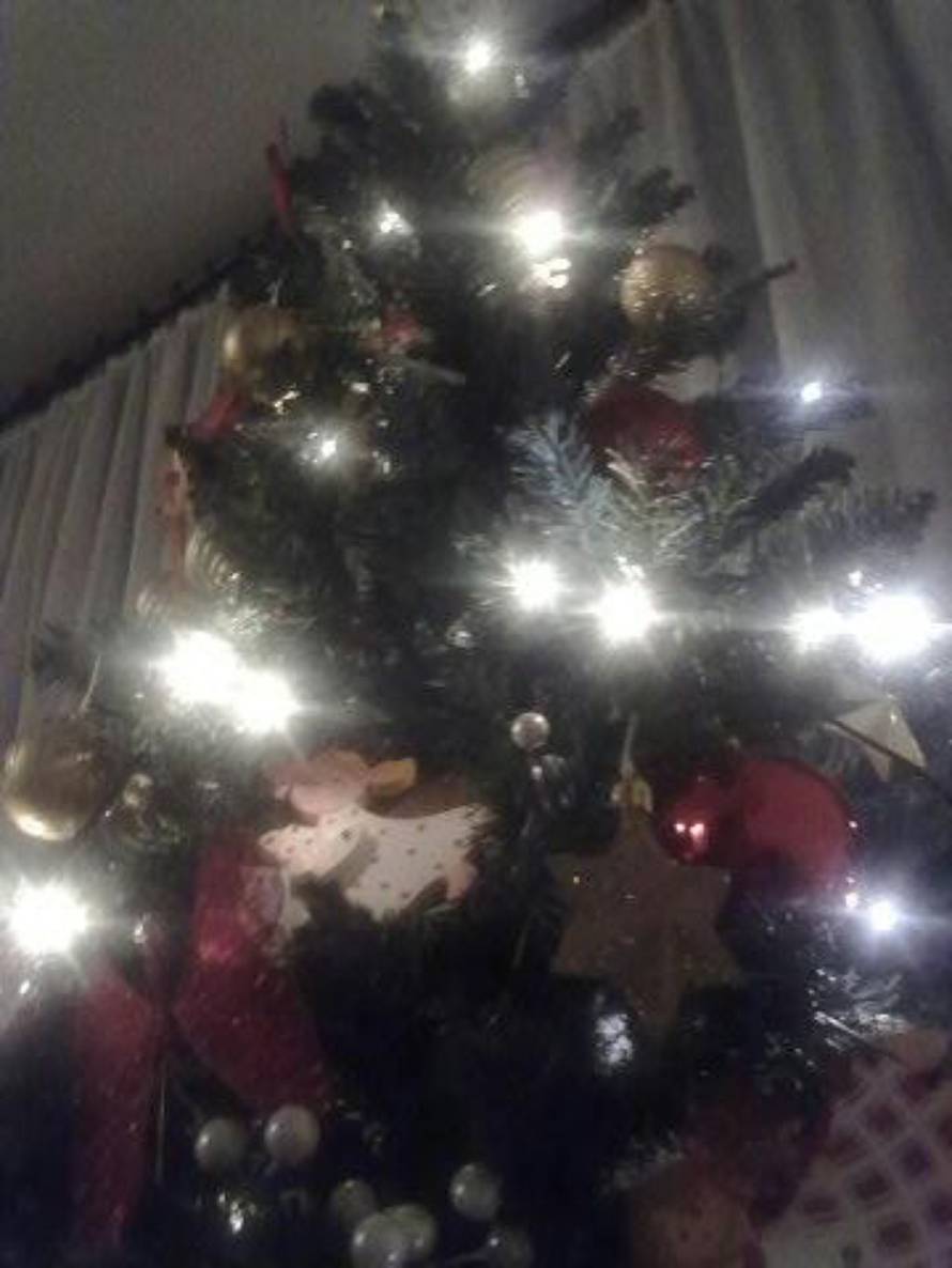 Šaljite fotografije božićnih jelki i osvojite vrijednu nagradu...