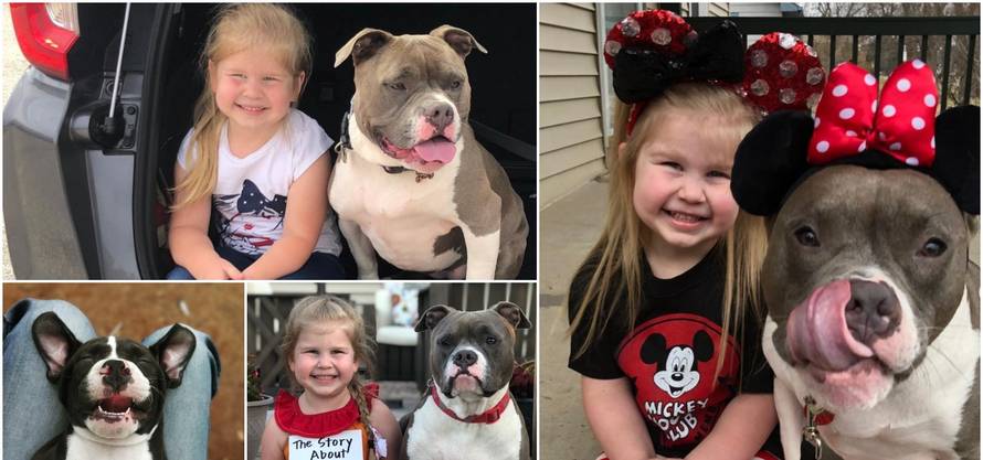 Opasni pitbull ustvari je mala maza: 'Ponekad je i nju strah'