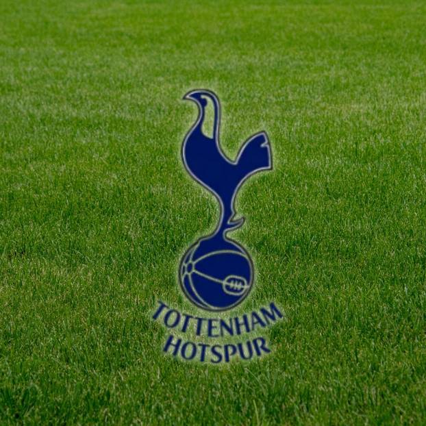 FOTO Još jedan velikan odlučio se za promjenu na grbu. Da je primijetite, morate se potruditi