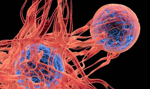 Testiraju novo cjepivo protiv raka: Učinkovitost do 88%! Svi necijepljeni miševi su umrli