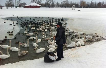 Izgladnjele ptice  u Baranji i Zagrebu građani hrane kruhom