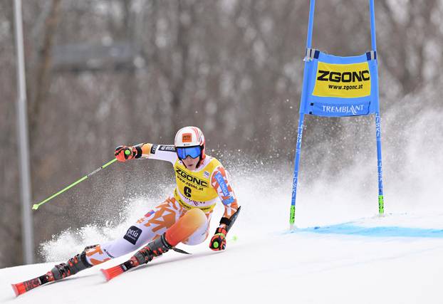 Alpine Skiing: FIS Women's World Cup