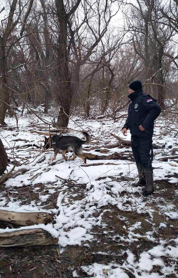 VIDEO Srpska policija objavila snimke potrage za Matejem: Pretražili smo Veliki ratni otok