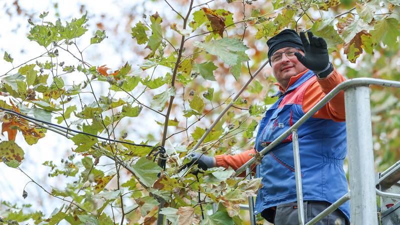 FOTO Bliži se Advent u Zagrebu! U Zrinjevcu već svijetle lampice, na Tomislavcu postavljaju kućice