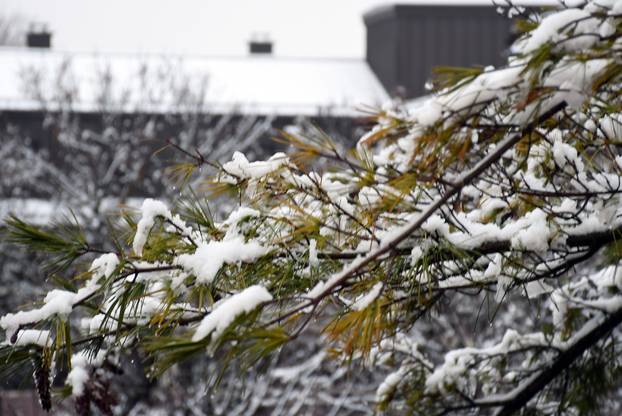 Sisak se probudio prekriven snijegom